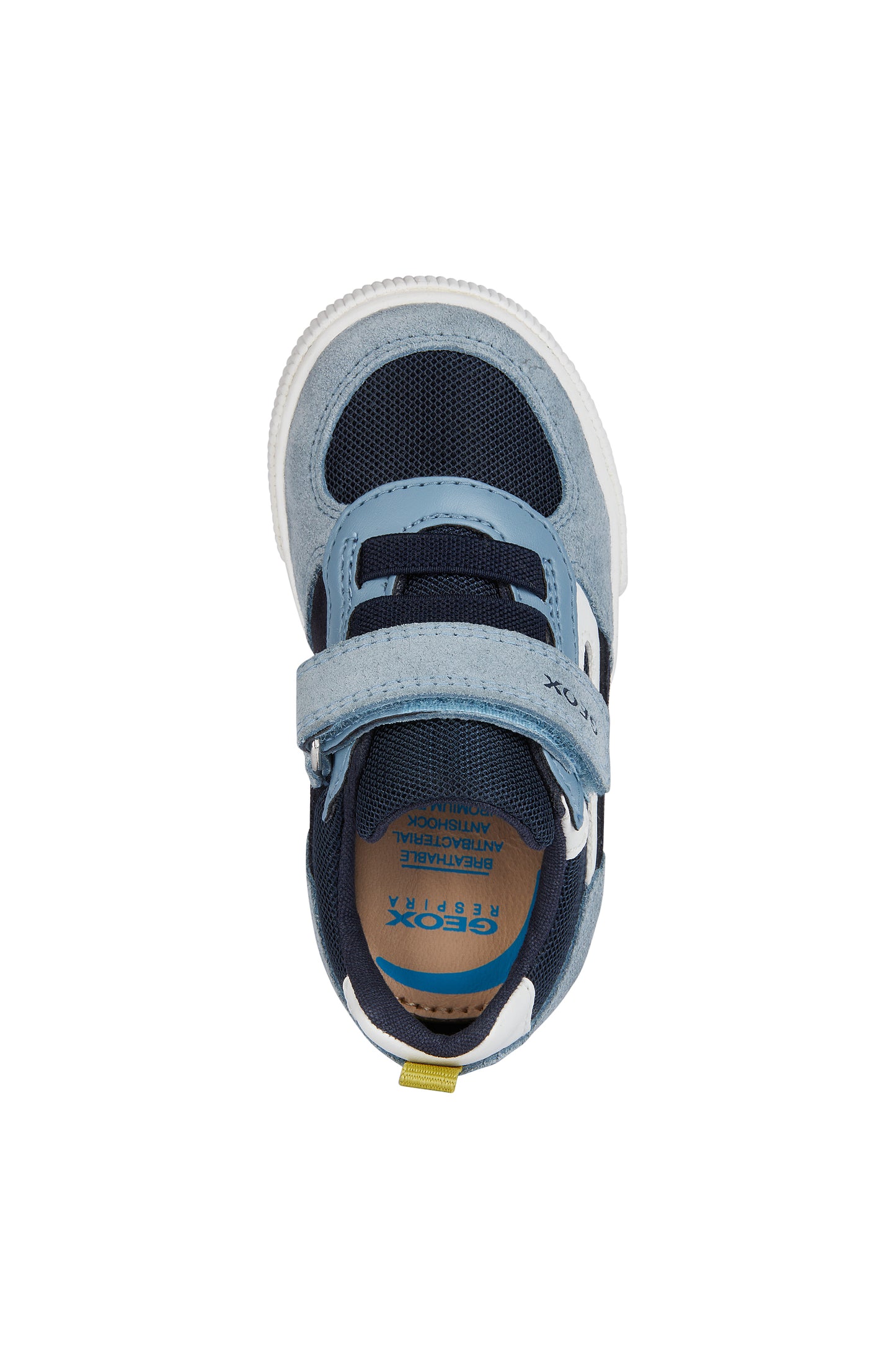 A boys trainer by Geox,style B Kilwi Boy, in light blue and navy with velcro and elastic lace fastening. View from above.