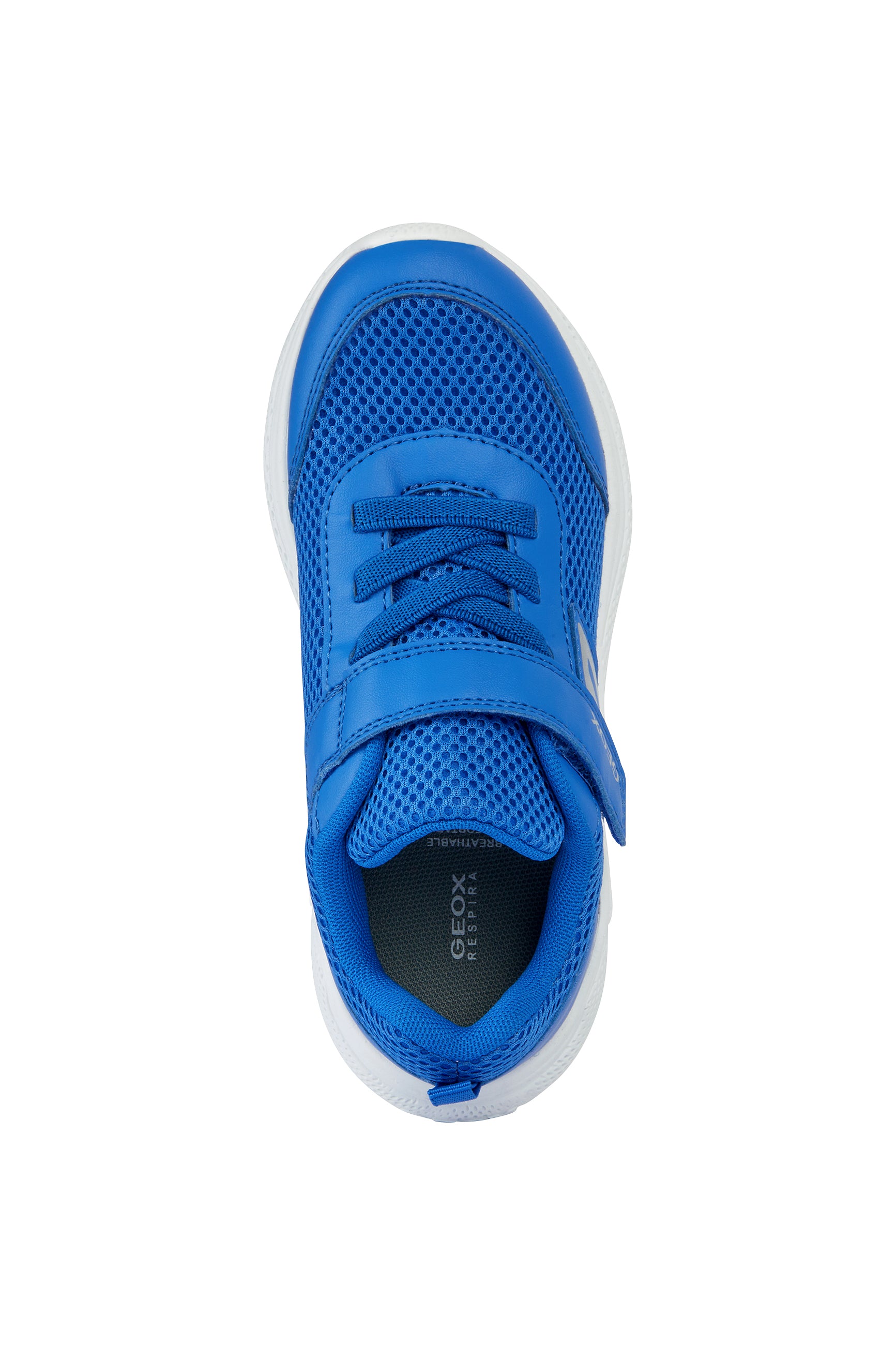 A boys trainer by Geox, style B Sprintye, in blue with bungee lace and velcro fastening. View from above.